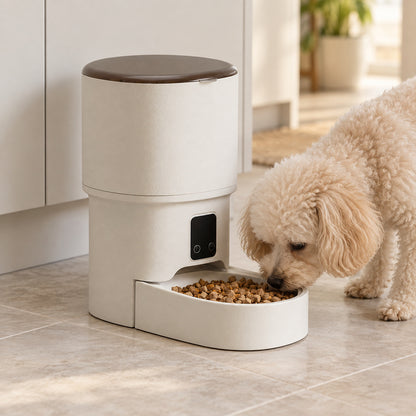 ⏰ Distributeur automatique | Plastique | Maison | Amoureux des chats | Ivoire épuré