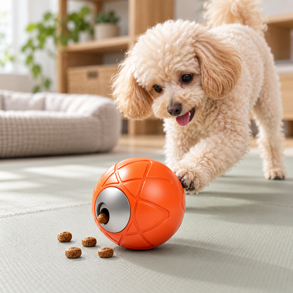 🦴 Balle à friandises | Plastique | Maison | Amis des chiens | Orange vif