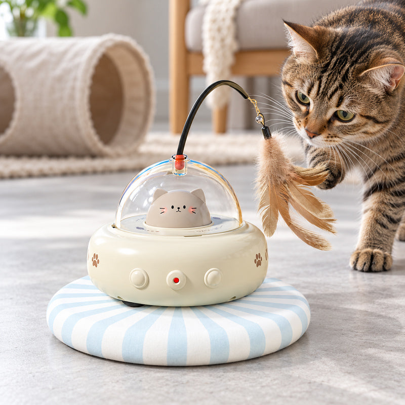 🐱 Jouet Interactif | Plastique | Salon | Maîtres Attentionnés | Plumes Suspendues