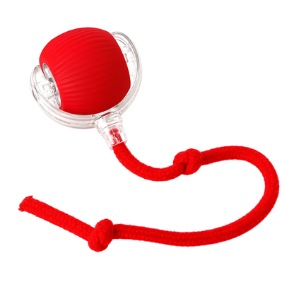 🐈 Balle Intelligente | Silicone | Maison | Amoureux des Chats | Cordon Rouge