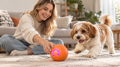 Interactive 🌰 USB‑Rechargeable Bouncing Ball Toy for Dogs